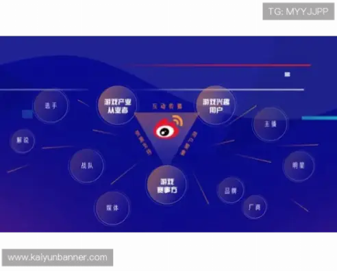 开云娱乐优缺点分析：界面流畅但客服响应慢